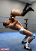 vipress vs ryan