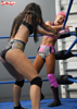 harley vs mila